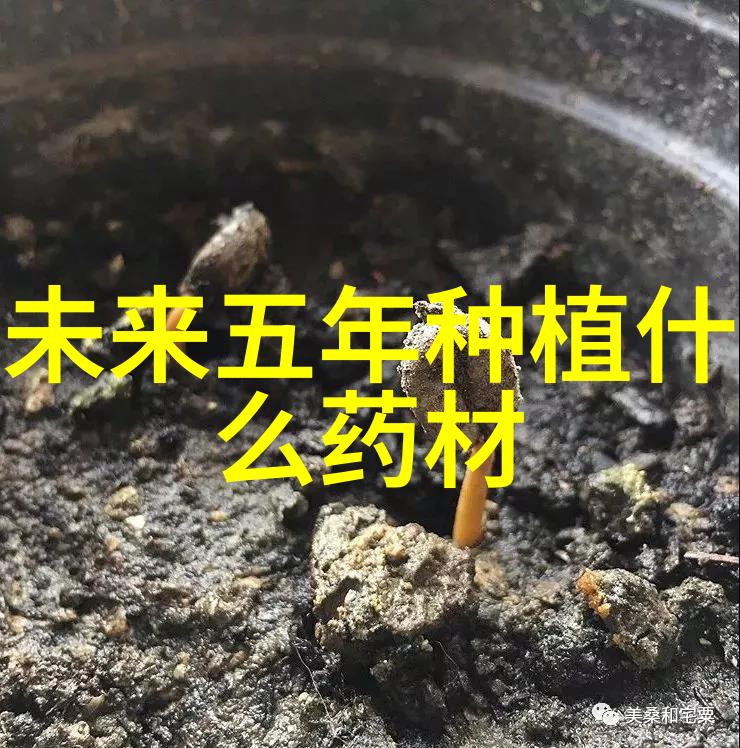 青梅的施肥技术